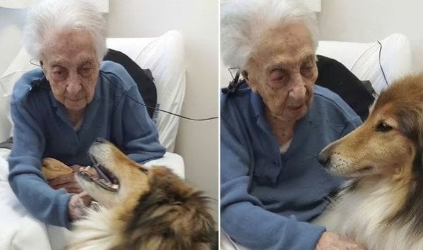 Як дожити до 100 років: вчені назвали продукт-секрет