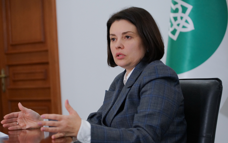 Схеми бізнесу через ФОПи мають масштабний характер: інтерв’ю з Лесею Карнаух, ДПС