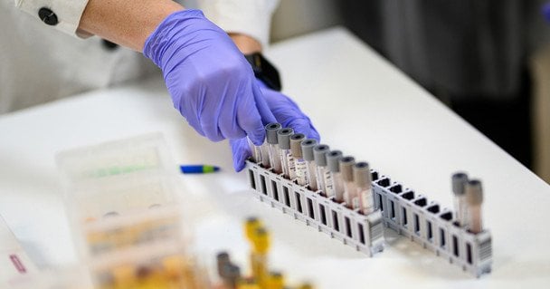 Сучасна діагностика діабету: від перших аналізів до розширених програм у CSD LAB