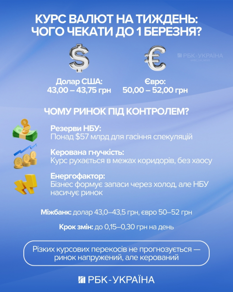 Ситуація напружена, попит росте: що буде з курсом долара в останній тиждень зими