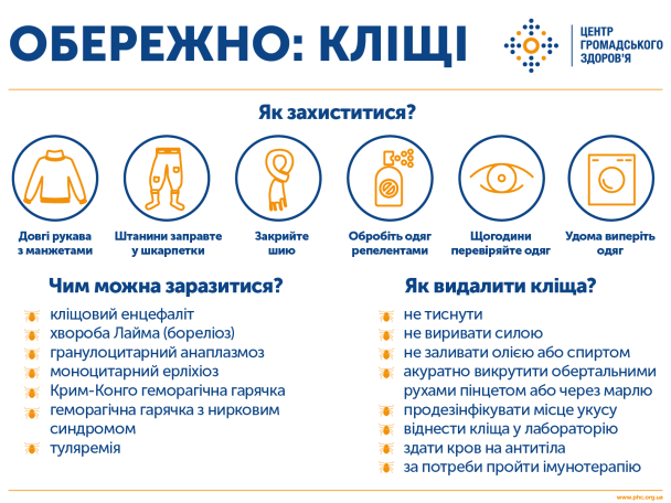 В Україні розпочався сезон кліщів: медики попереджають про ризики зараження хворобою Лайма