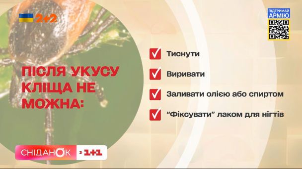 В Україні розпочався сезон кліщів: медики попереджають про ризики зараження хворобою Лайма
