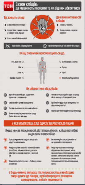 Сезон кліщів в Україні: як захиститися та що робити в разі укусу