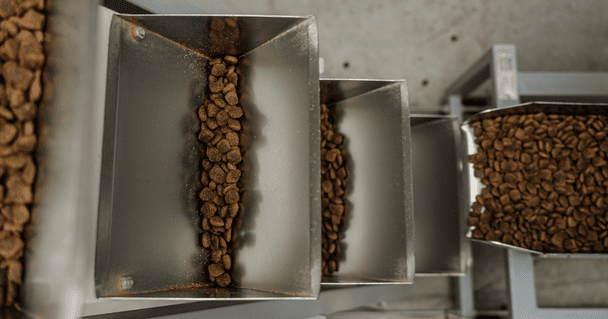 Сезон кліщів: захист та імунітет вашого улюбленця навесні