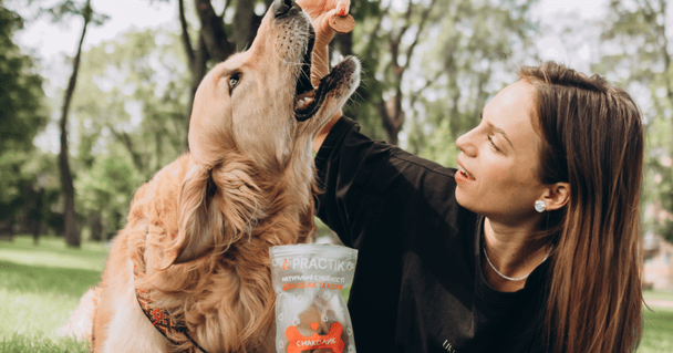 Сезон кліщів: захист та імунітет вашого улюбленця навесні