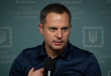 ВАКС заочно арештував ексзаступника керівника ОП Шурму та його брата