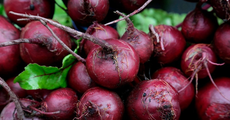 10 продуктів для кращого кровообігу
