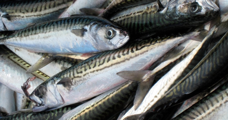 7 продуктів із високим вмістом магнію