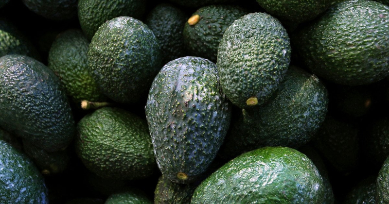 8 продуктів, у яких більше корисних жирів, ніж в авокадо
