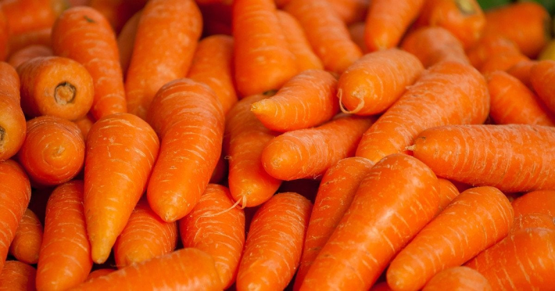 Де найбільше вітаміну А: названо 6 продуктів